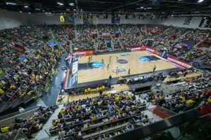 MHP-RIESEN-Ludwigsburg-Business-Spielfeld