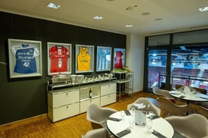 MHP-RIESEN-Ludwigsburg-Business-MHP-Loge-2