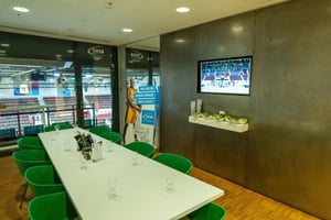 MHP-RIESEN-Ludwigsburg-Business-SWLB-Loge-1